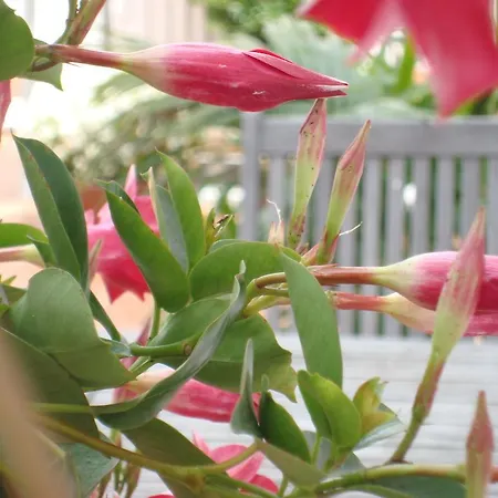 Gasthof Ribeira De Fefinanes 2*